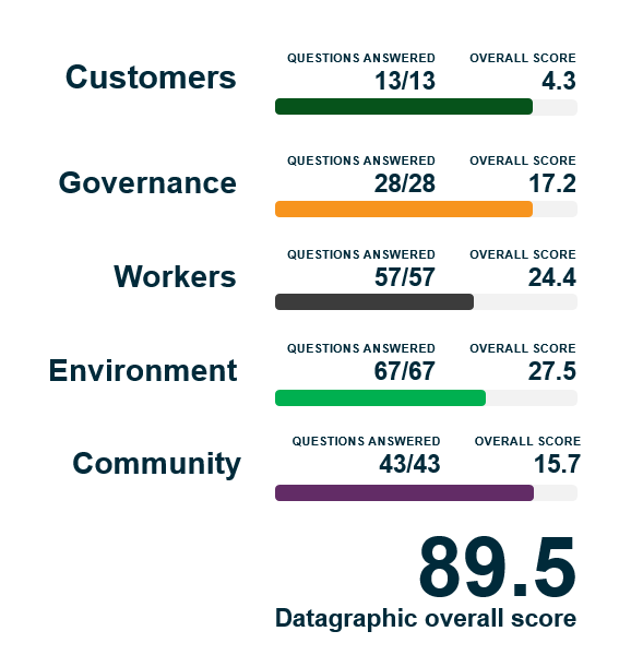 Datagraphic B Corp Scores
