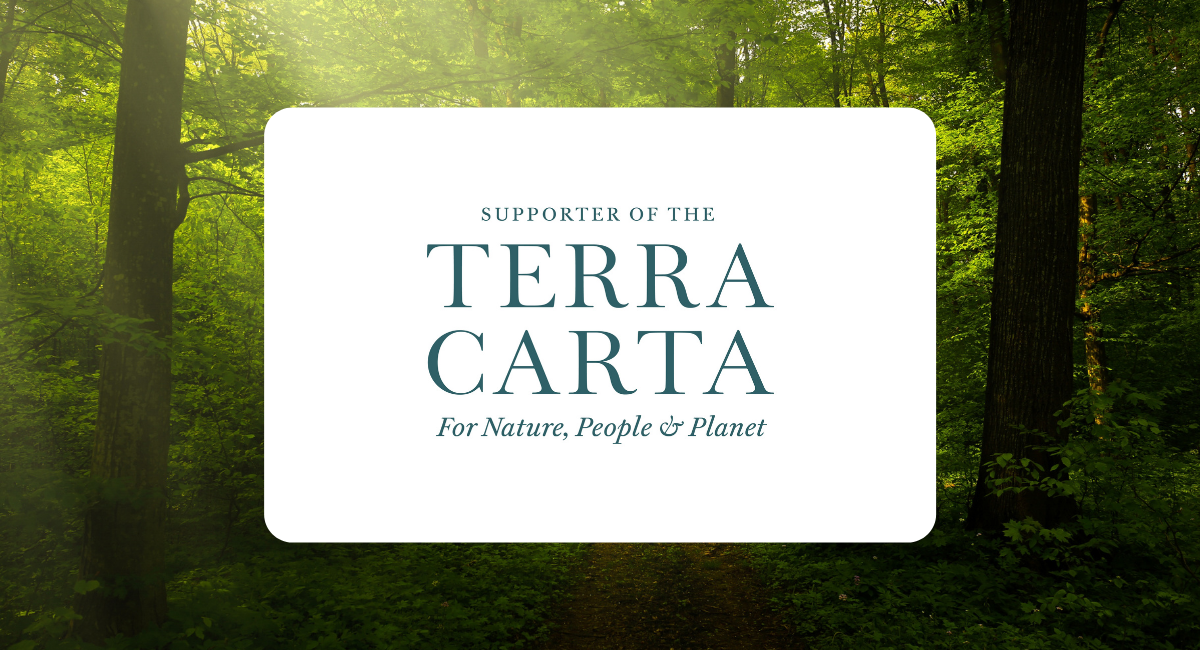Datagraphic Terra Carta Supporter