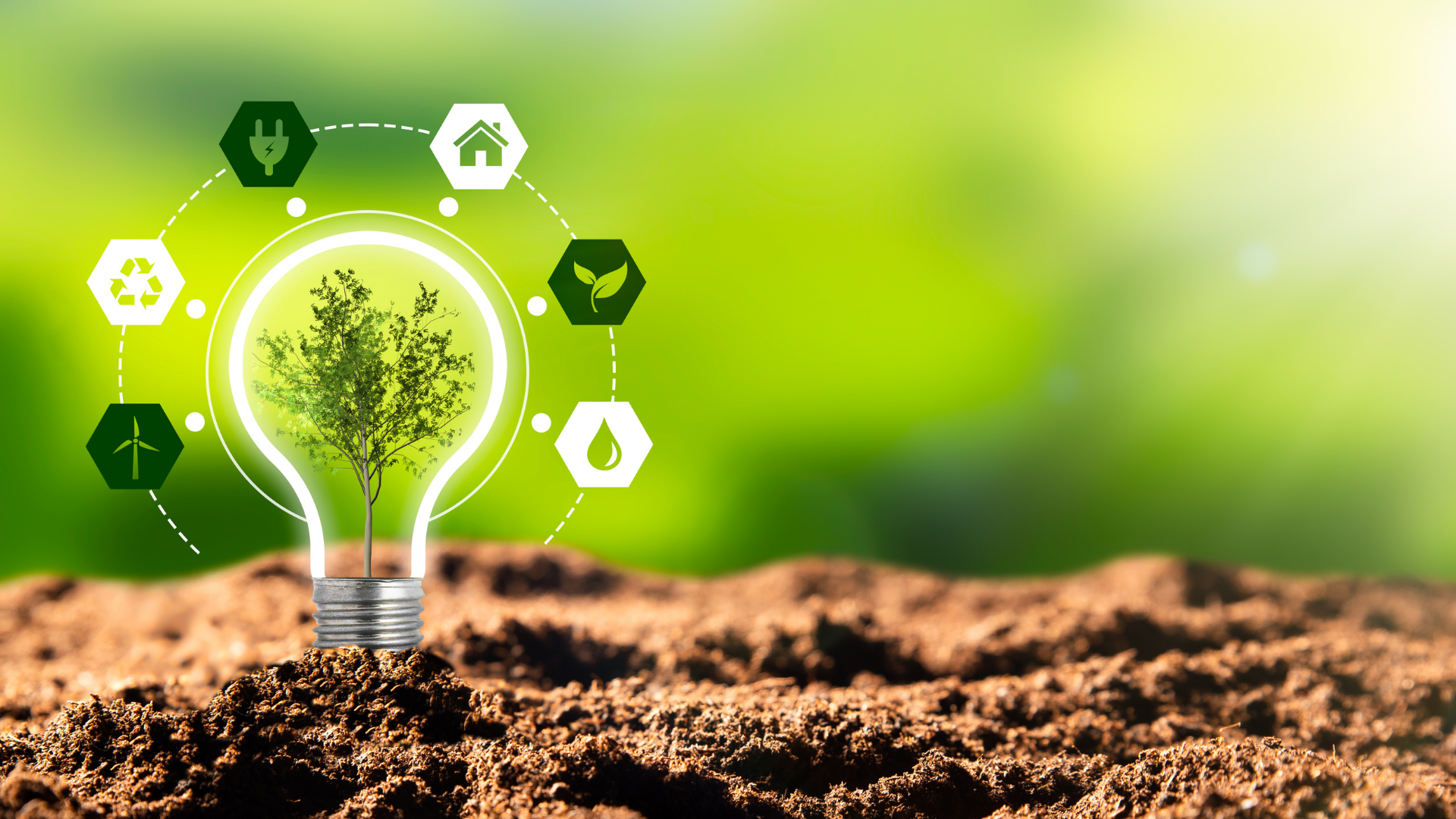 The 2026 Datagraphic ESG Impact Report