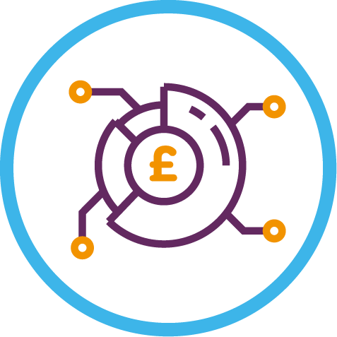 Public sector services - Budget Costraints icon