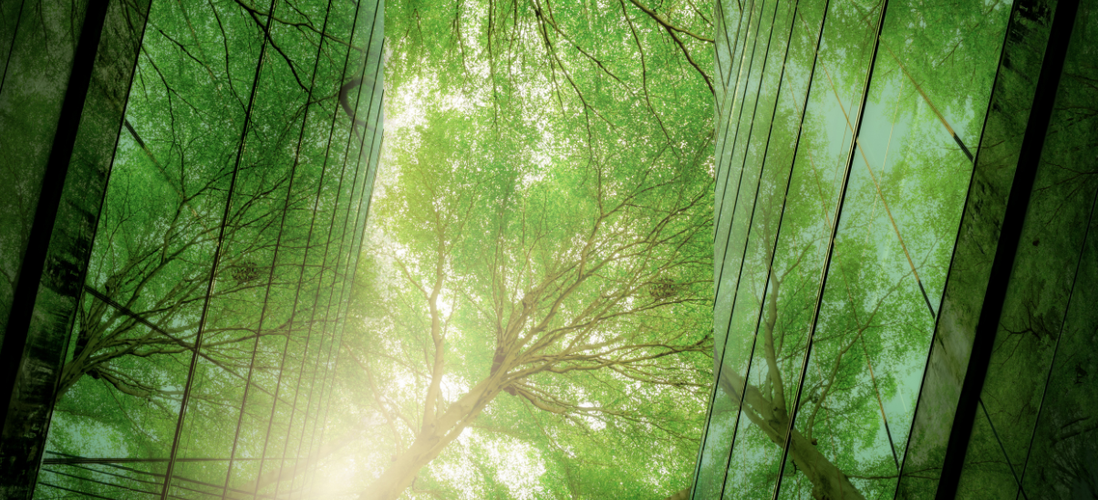 3 reasons to work with an SBTi-approved supplier