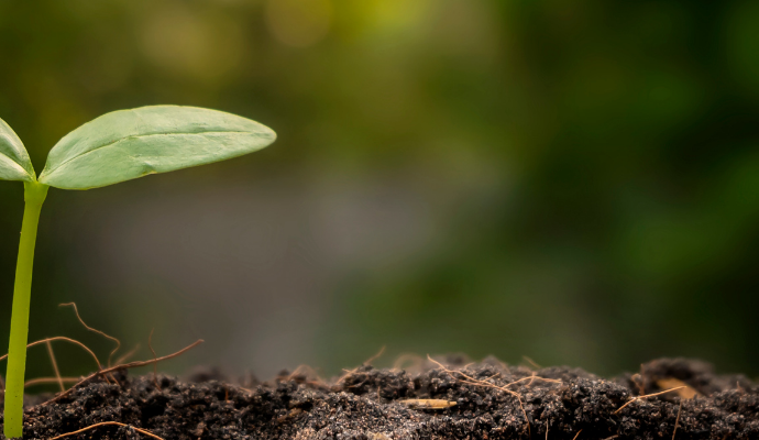 Sustainability